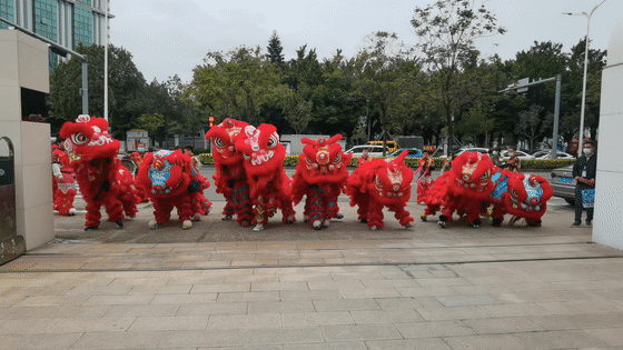 BG大游集团醒狮-00.gif